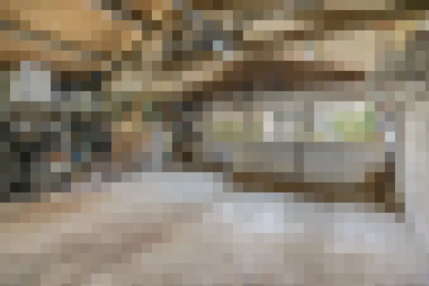 Berkenlaan 2 Ede thumbnail 57
