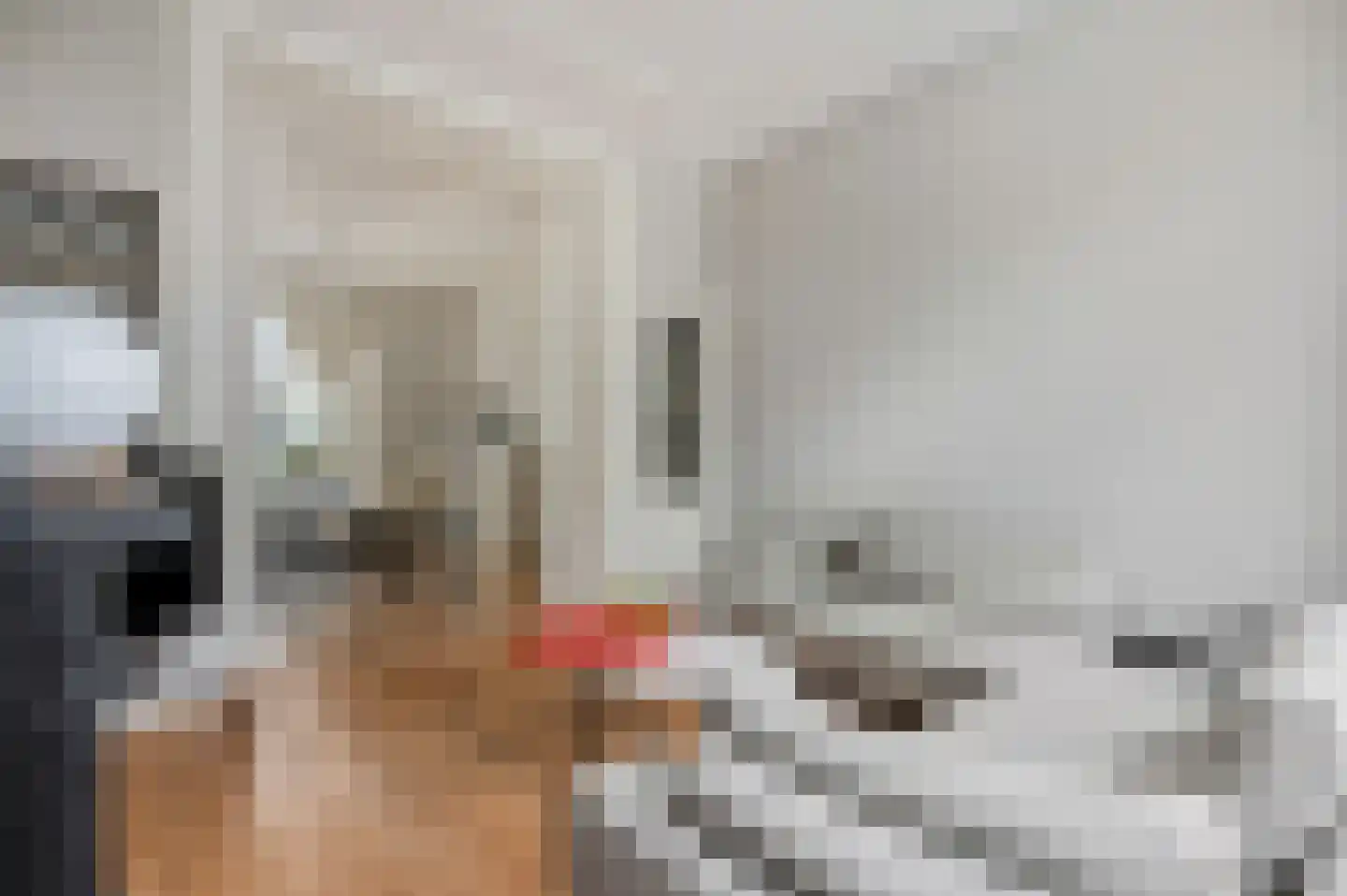 Berkenlaan 2 Ede thumbnail 6