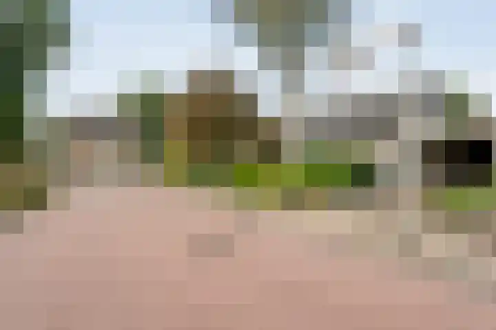 Berkenlaan 2 Hardenberg foto 3