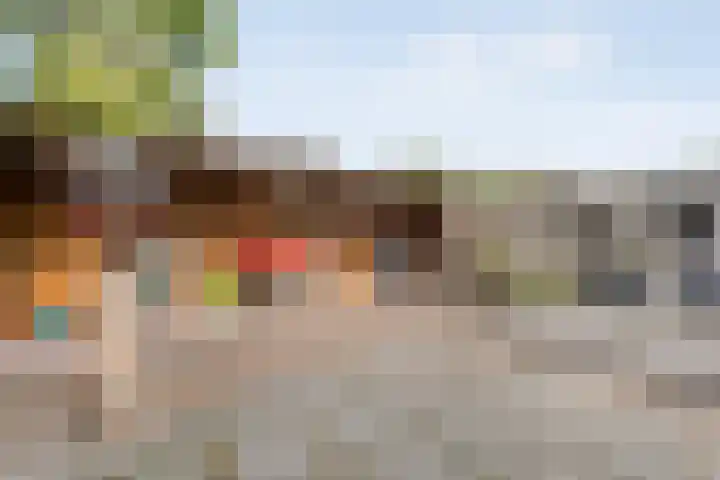 Berkenlaan 2 Hardenberg thumbnail 31