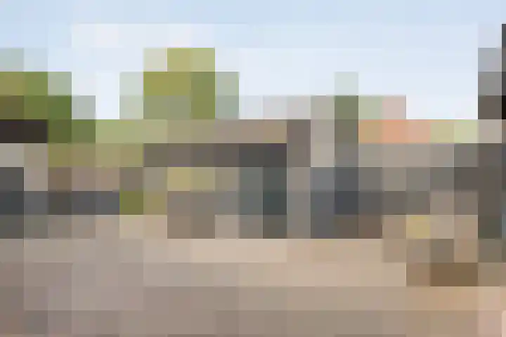Berkenlaan 2 Hardenberg thumbnail 34