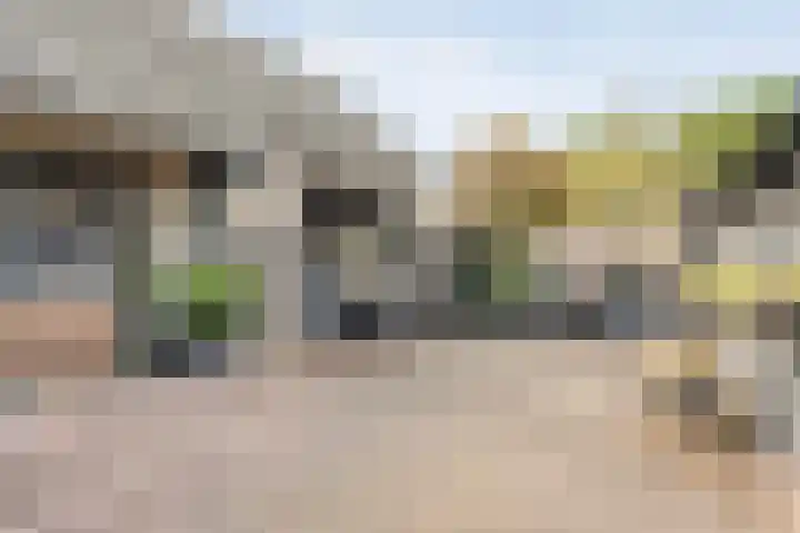 Berkenlaan 2 Hardenberg thumbnail 35