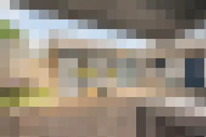 Berkenlaan 2 Hardenberg thumbnail 36