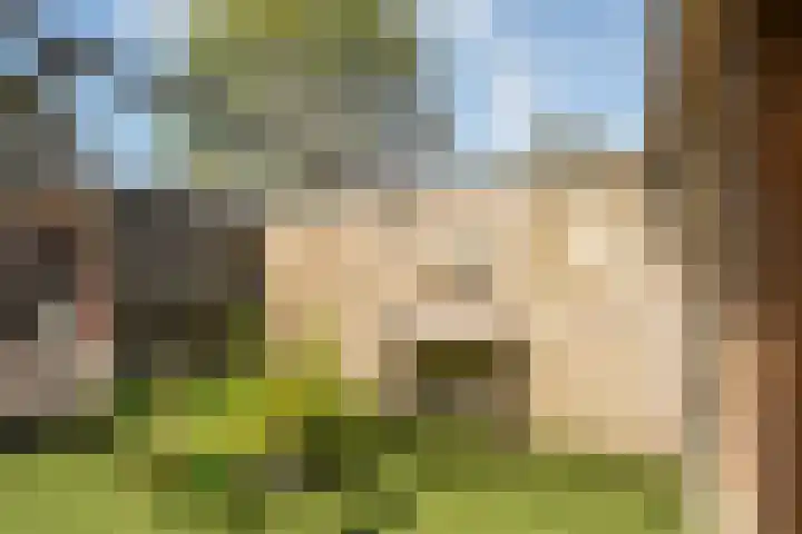 Berkenlaan 2 Hardenberg thumbnail 37