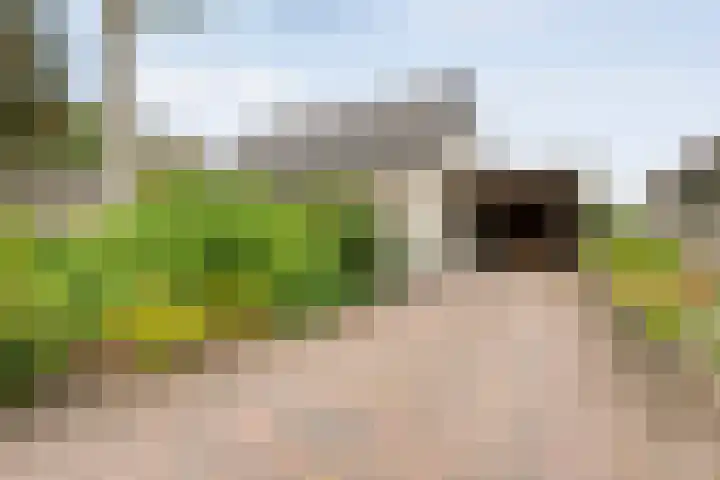 Berkenlaan 2 Hardenberg thumbnail 5