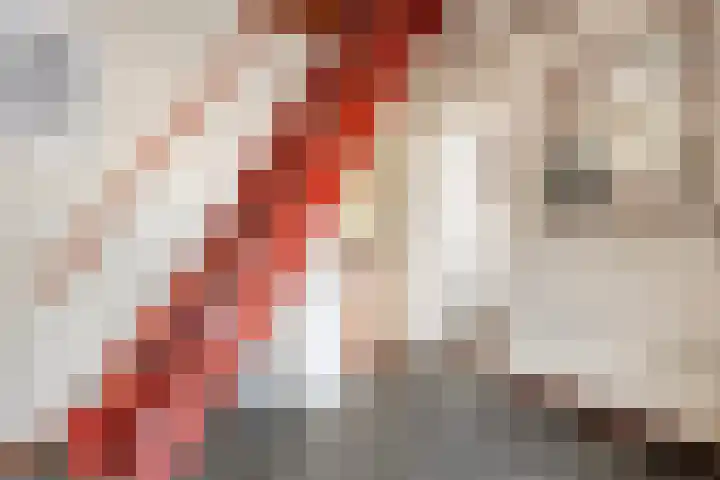 Berkenlaan 2 Hardenberg thumbnail 8