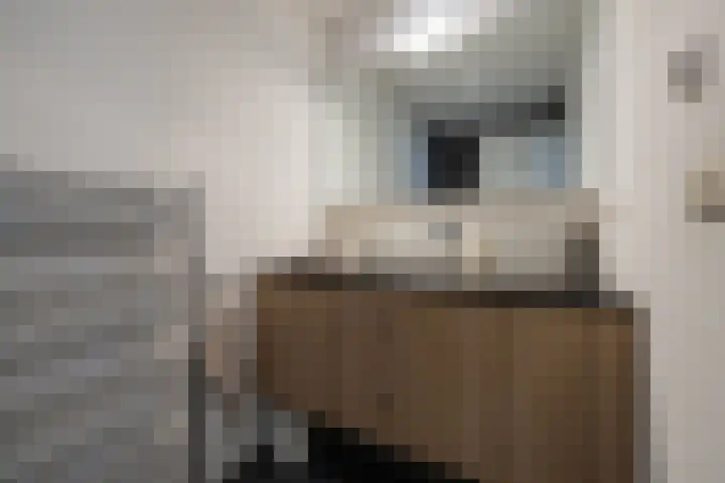 Berkenlaan 2 Katwijk thumbnail 15