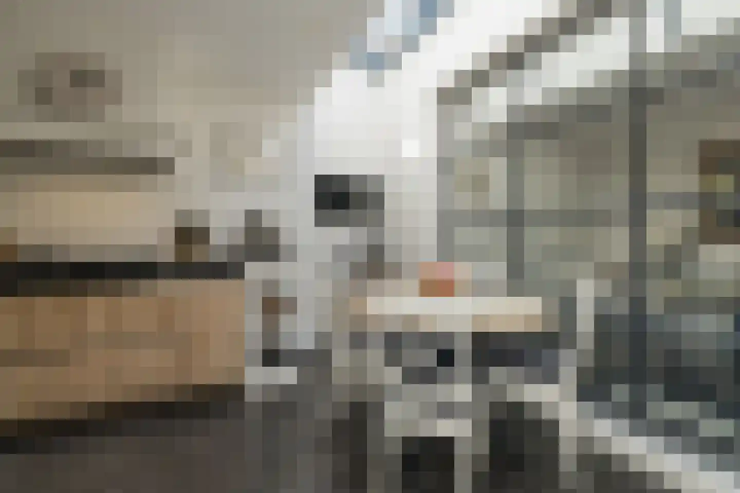 Berkenlaan 2 Katwijk thumbnail 16