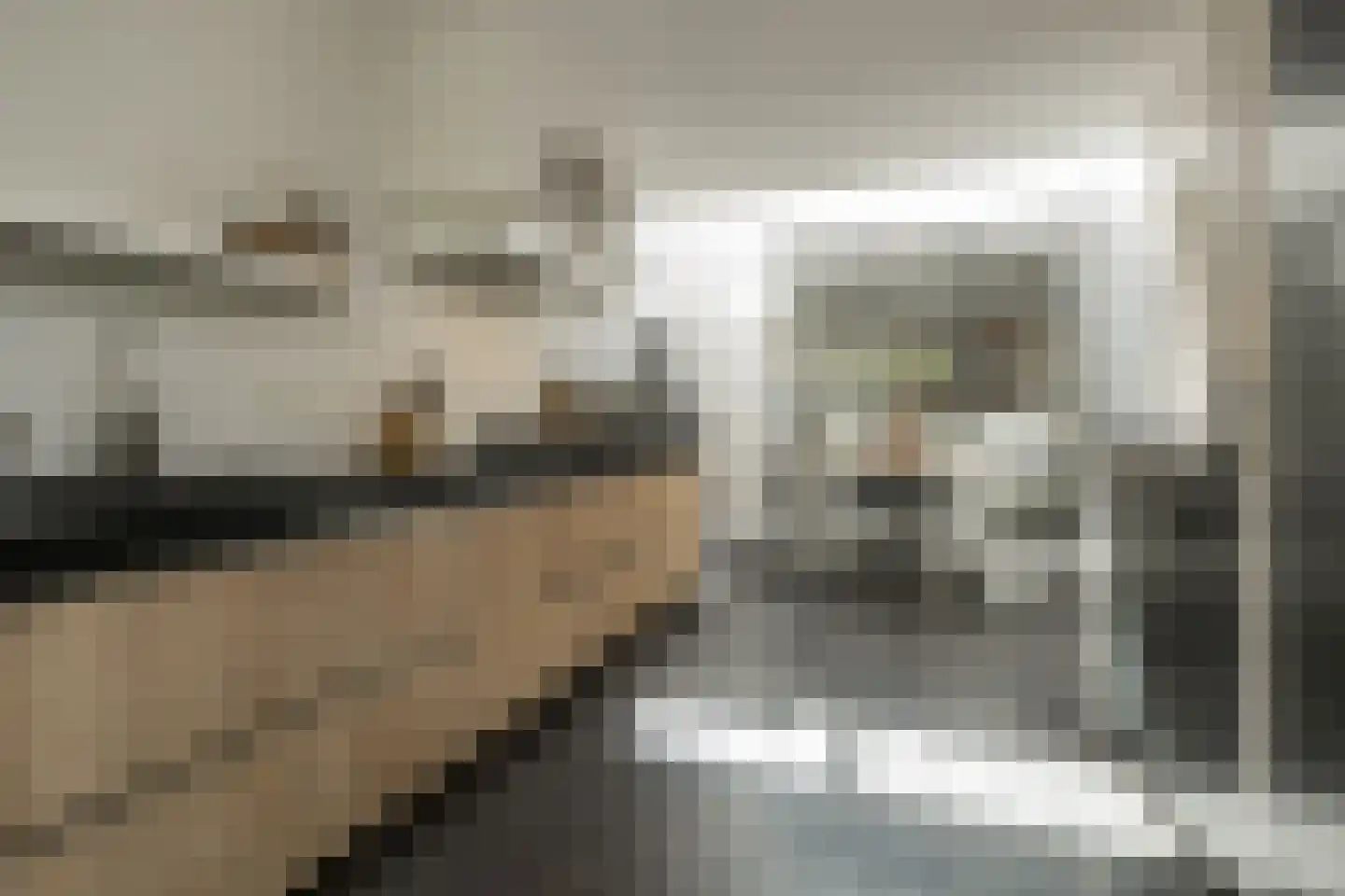 Berkenlaan 2 Katwijk thumbnail 21
