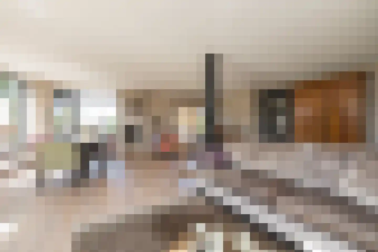 Berkenlaan 2 Katwijk thumbnail 24