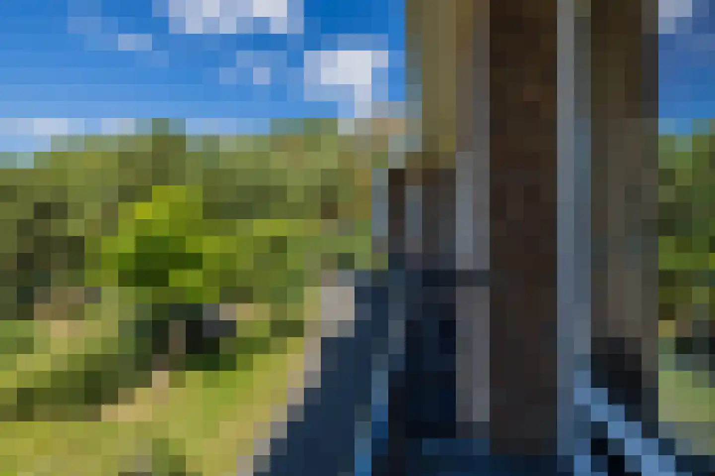 Berkenlaan 2 Katwijk thumbnail 26