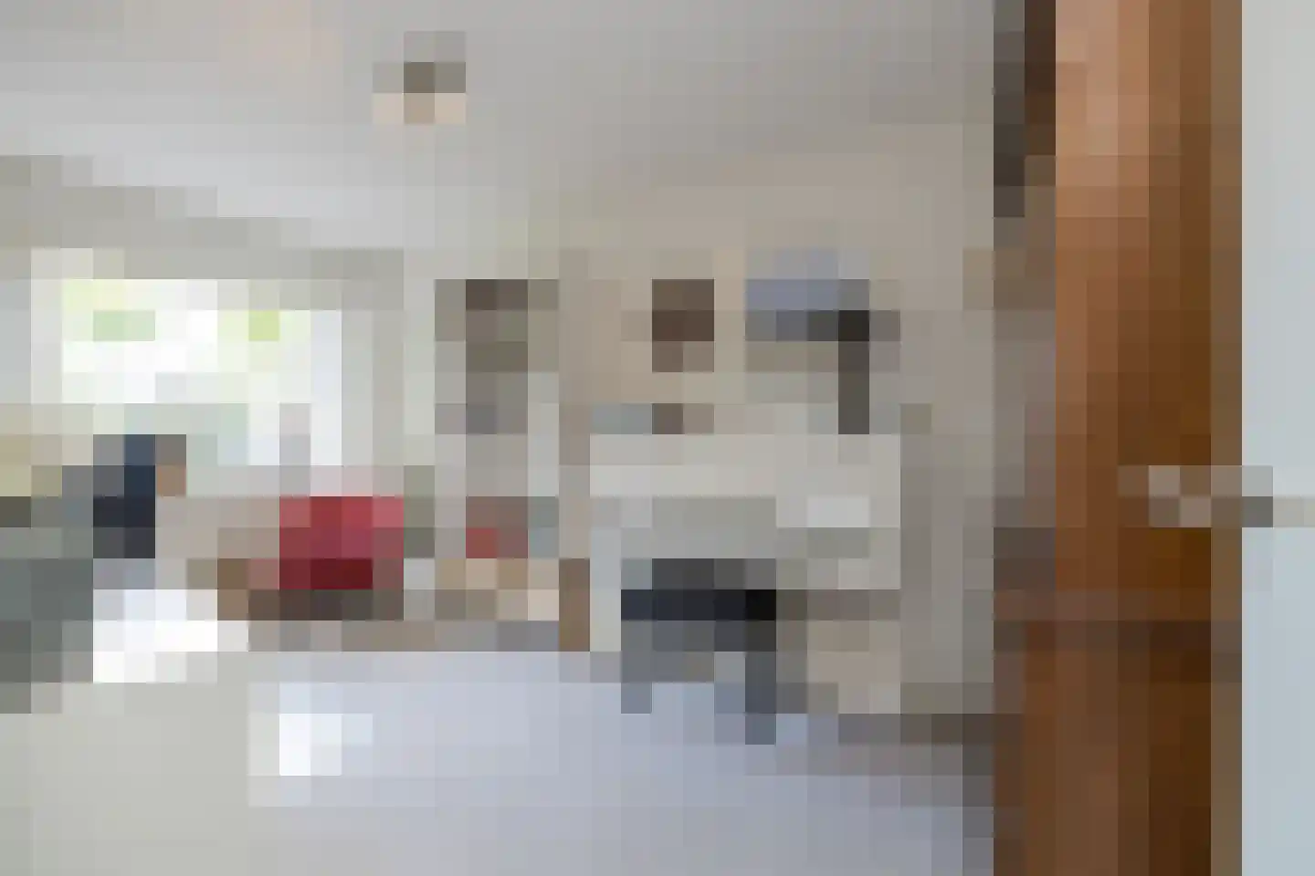 Berkenlaan 2 Katwijk thumbnail 32
