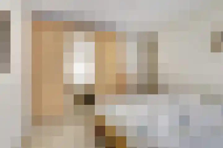 Berkenlaan 2 Made thumbnail 13