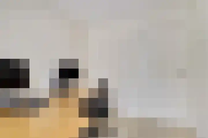 Berkenlaan 2 Made thumbnail 15