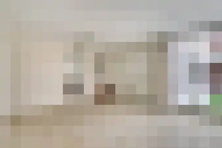 Berkenlaan 2 Made thumbnail 18