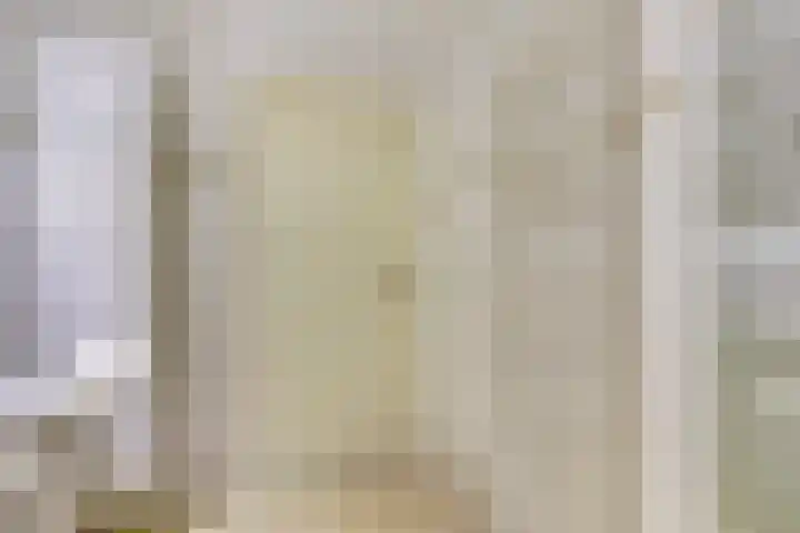 Berkenlaan 2 Made thumbnail 23