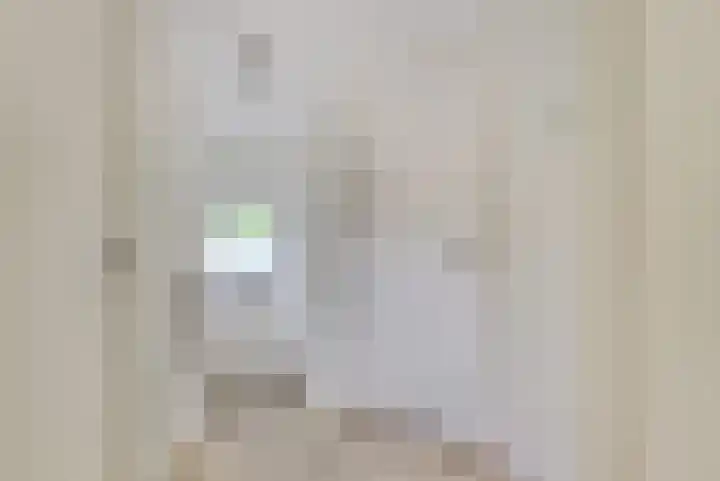 Berkenlaan 2 Made thumbnail 26