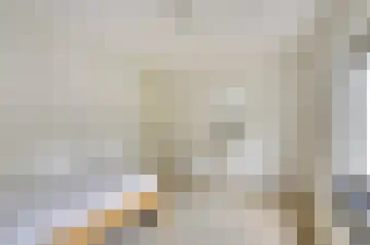 Berkenlaan 2 Made thumbnail 28