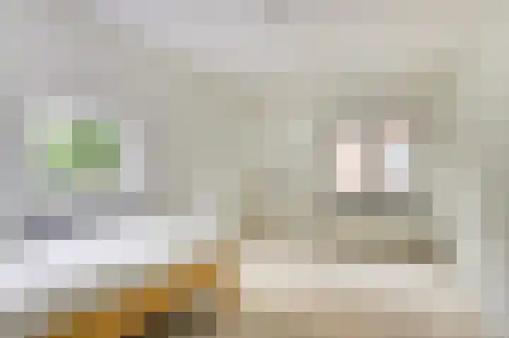 Berkenlaan 2 Made thumbnail 29