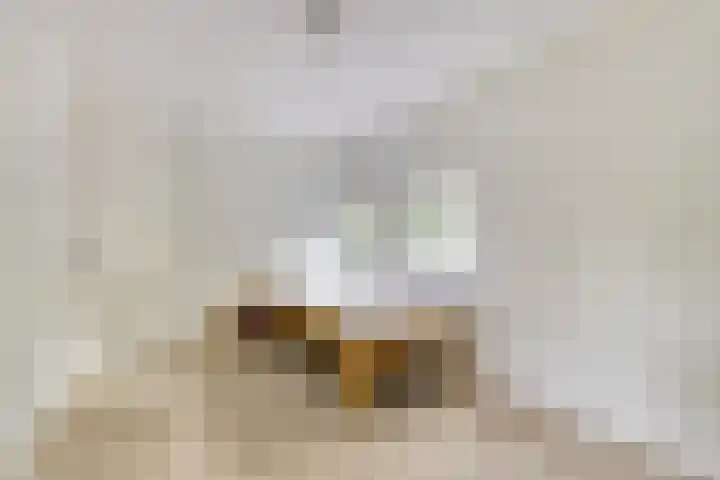Berkenlaan 2 Made thumbnail 30