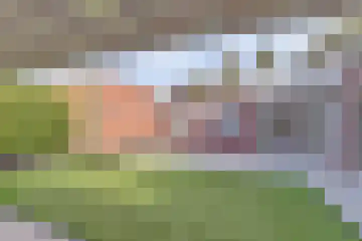 Berkenlaan 2 Made thumbnail 39