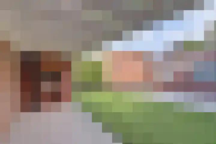 Berkenlaan 2 Made thumbnail 40