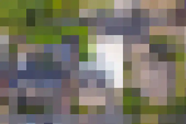 Berkenlaan 2 Made thumbnail 42