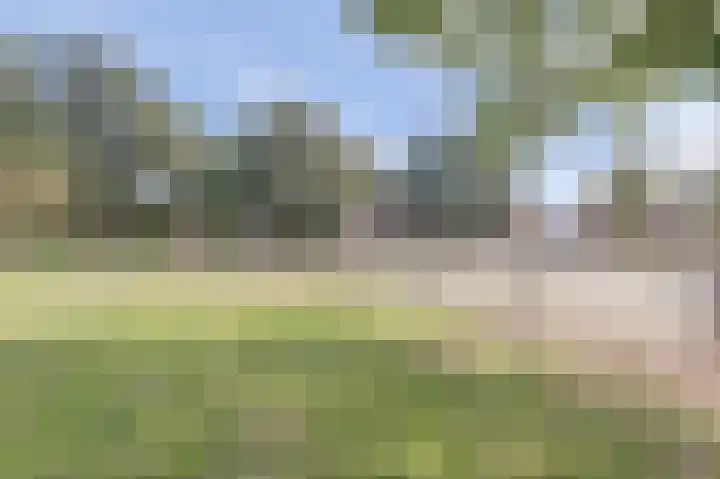 Berkenlaan 2 Made thumbnail 43