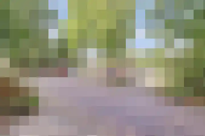 Berkenlaan 2 Made thumbnail 44
