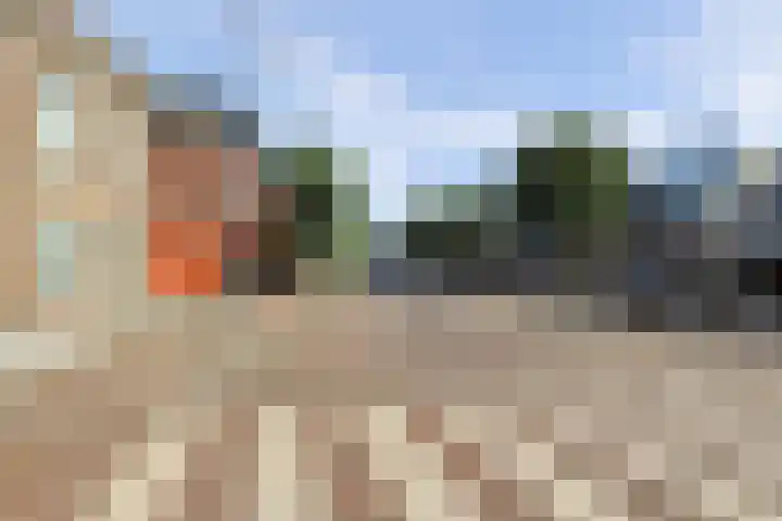 Berkenlaan 2 Made thumbnail 45