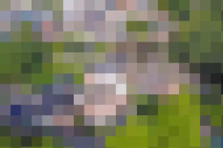 Berkenlaan 2 Made thumbnail 48