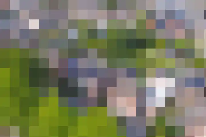 Berkenlaan 2 Made thumbnail 49