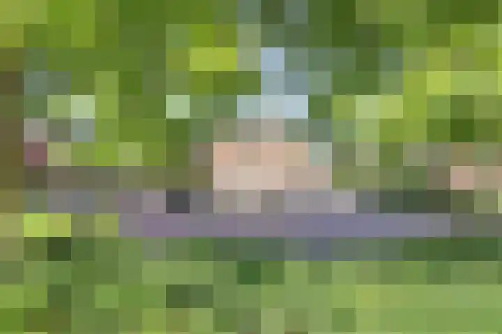 Berkenlaan 2 Made thumbnail 51