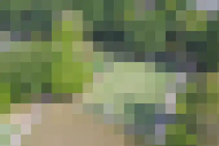 Berkenlaan 2 Made thumbnail 52