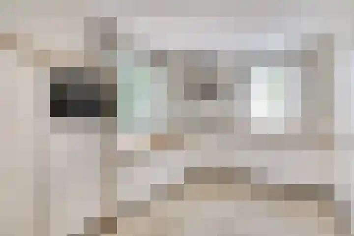 Berkenlaan 2 Made thumbnail 8