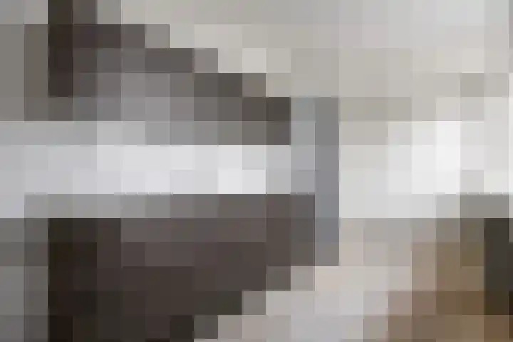 Berkenlaan 2 Marum thumbnail 14