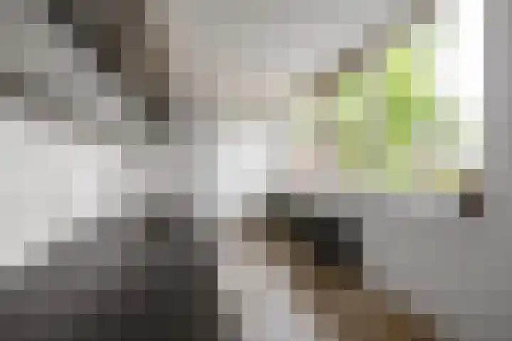 Berkenlaan 2 Marum thumbnail 15