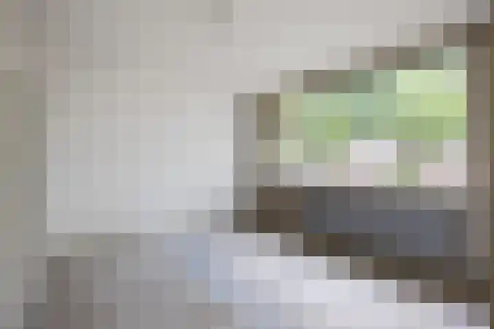 Berkenlaan 2 Marum thumbnail 26