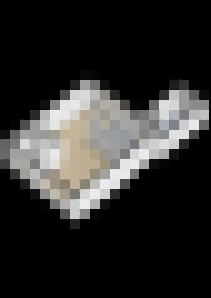 Berkenlaan 2 Marum thumbnail 41