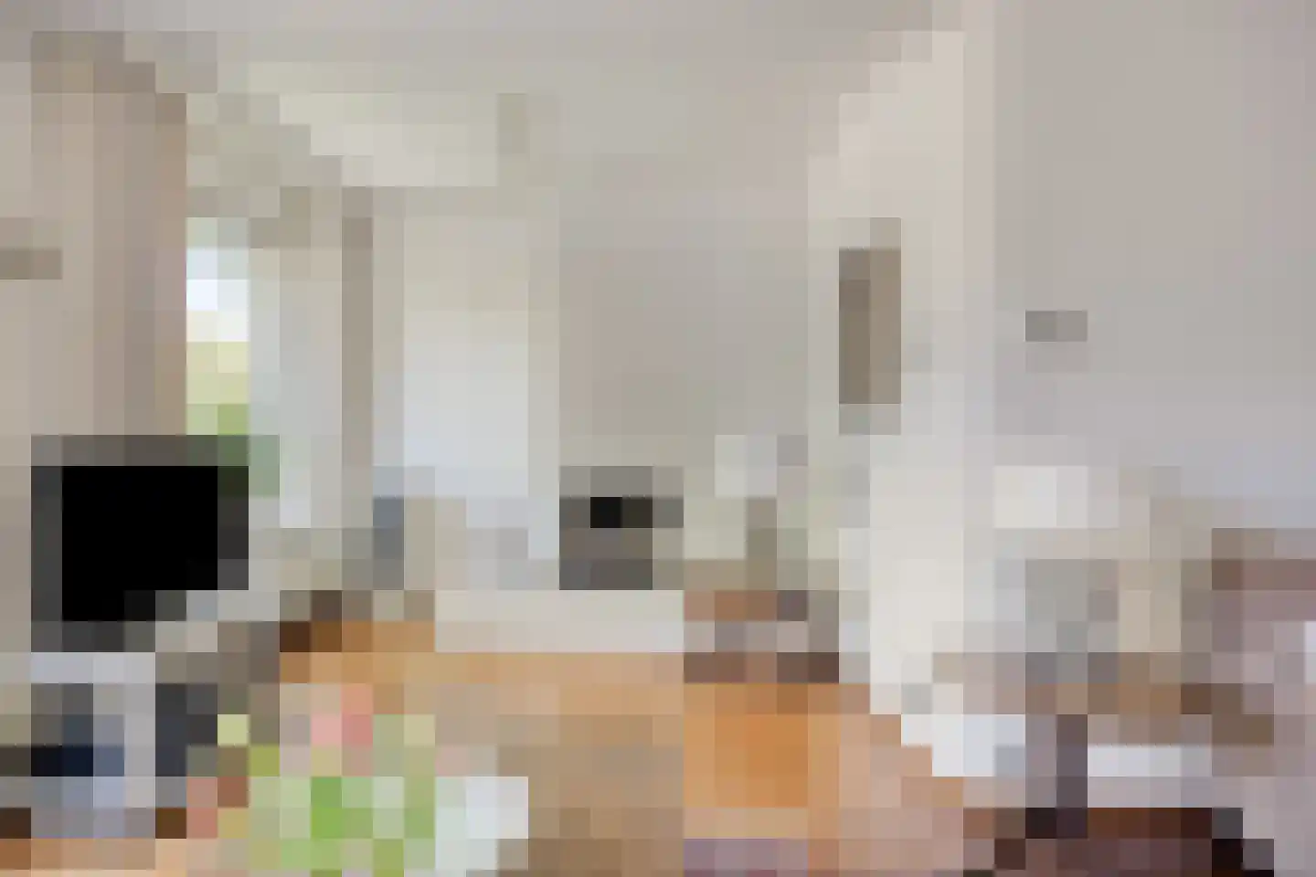 Berkenlaan 2 Oisterwijk thumbnail 10