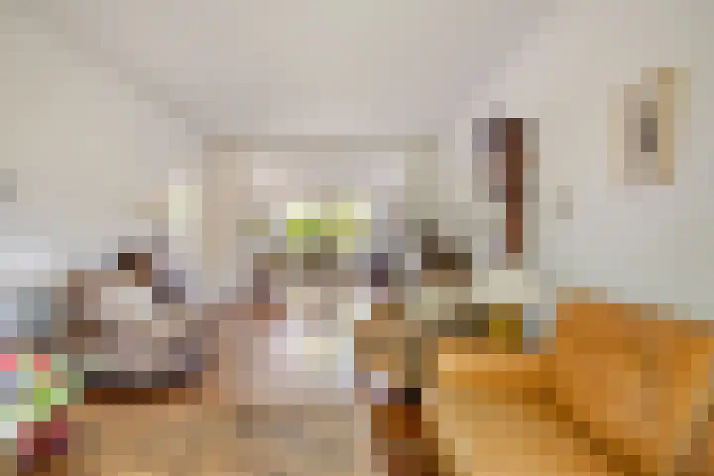 Berkenlaan 2 Oisterwijk thumbnail 13
