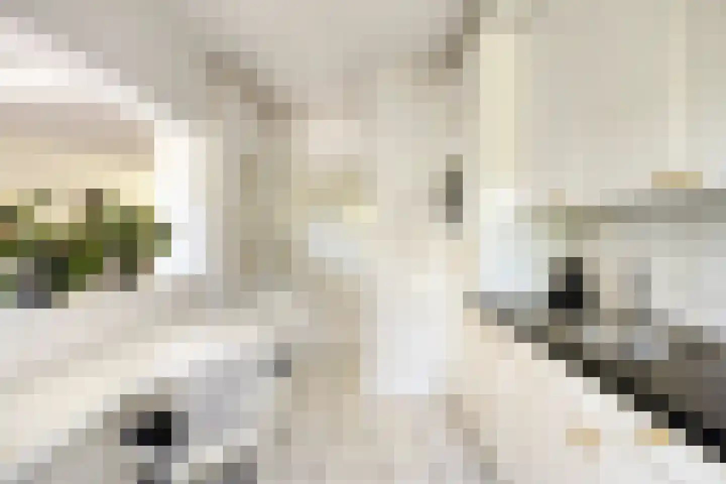 Berkenlaan 2 Oisterwijk thumbnail 18