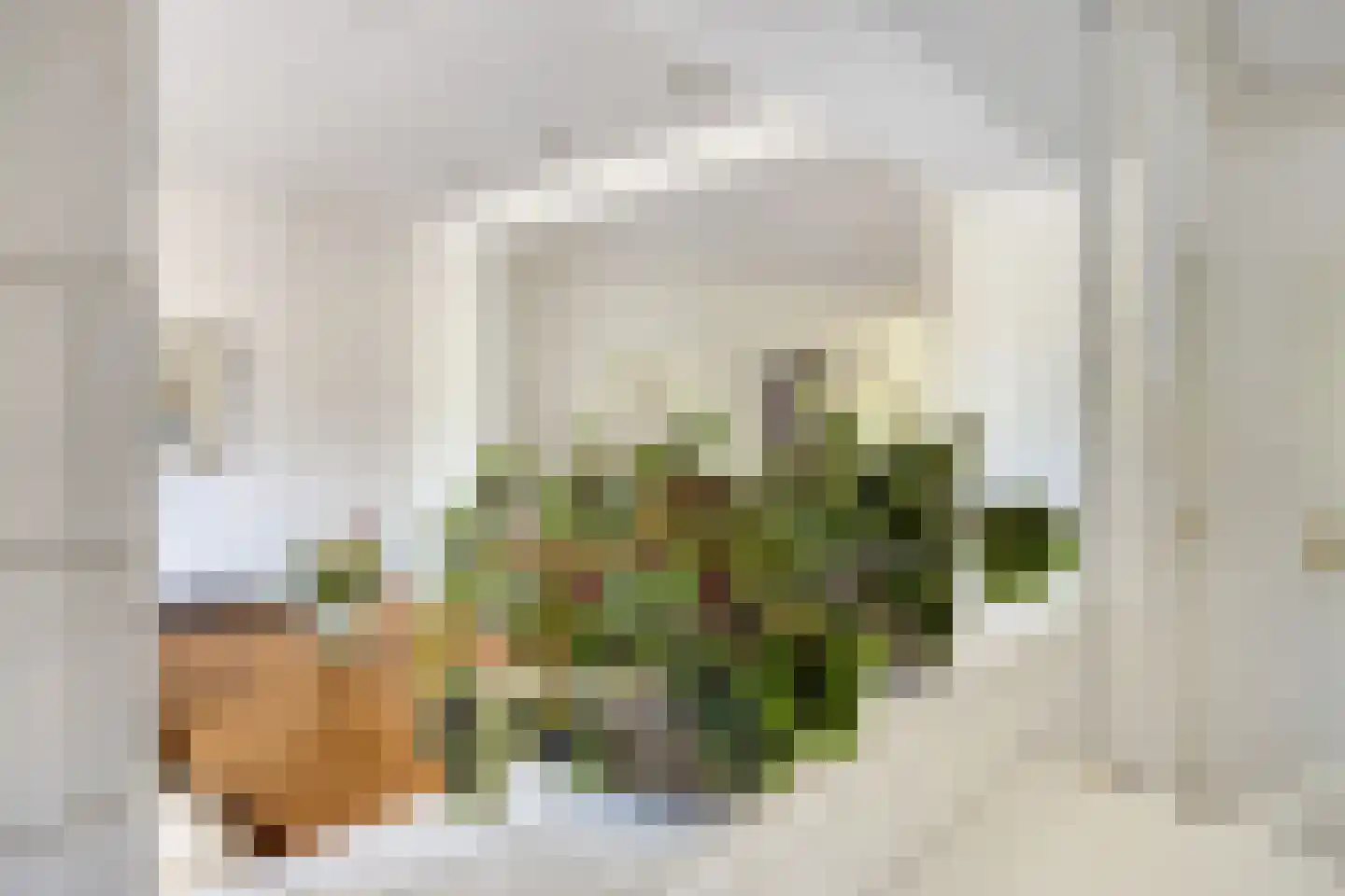 Berkenlaan 2 Oisterwijk thumbnail 19