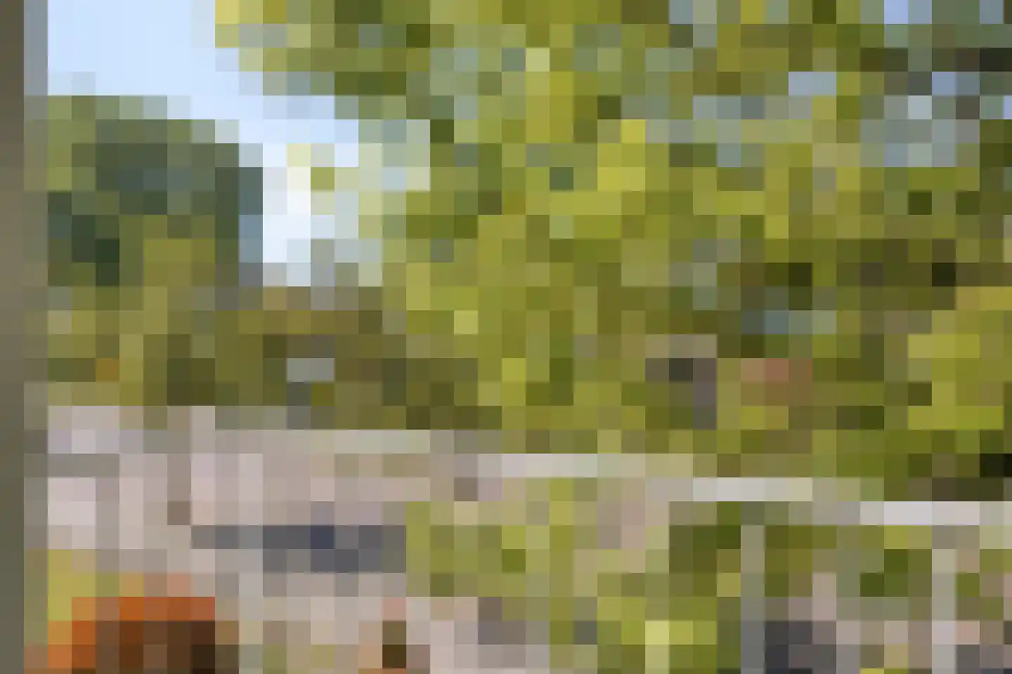 Berkenlaan 2 Oisterwijk thumbnail 31