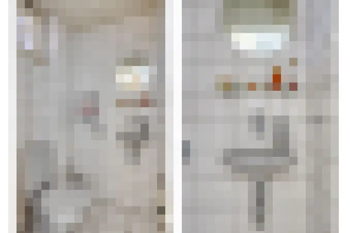 Berkenlaan 2 Oisterwijk thumbnail 32