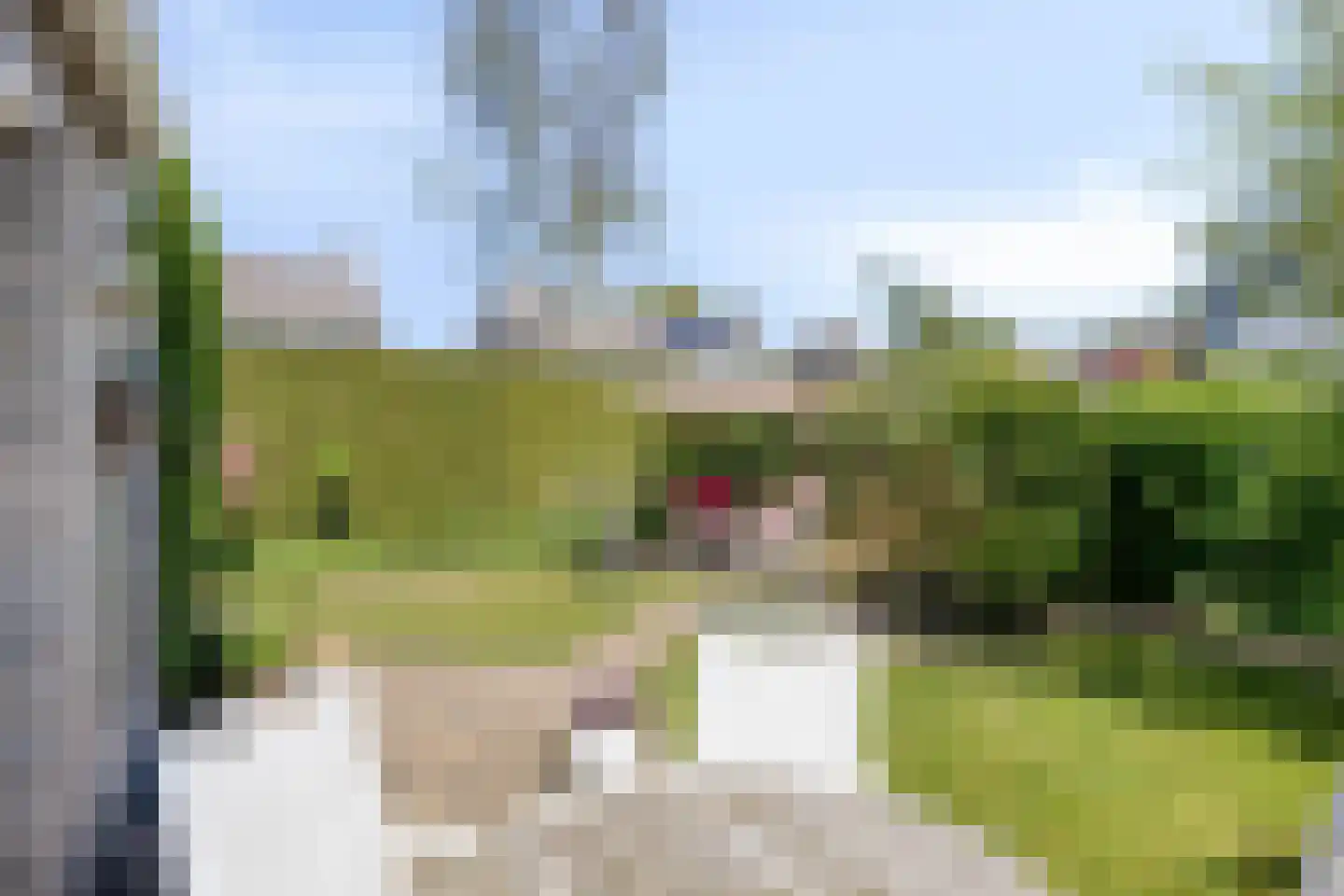Berkenlaan 2 Oisterwijk thumbnail 37