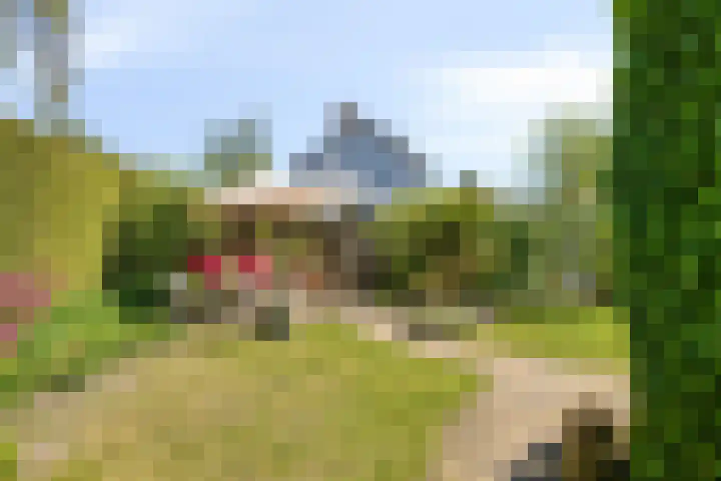 Berkenlaan 2 Oisterwijk thumbnail 38