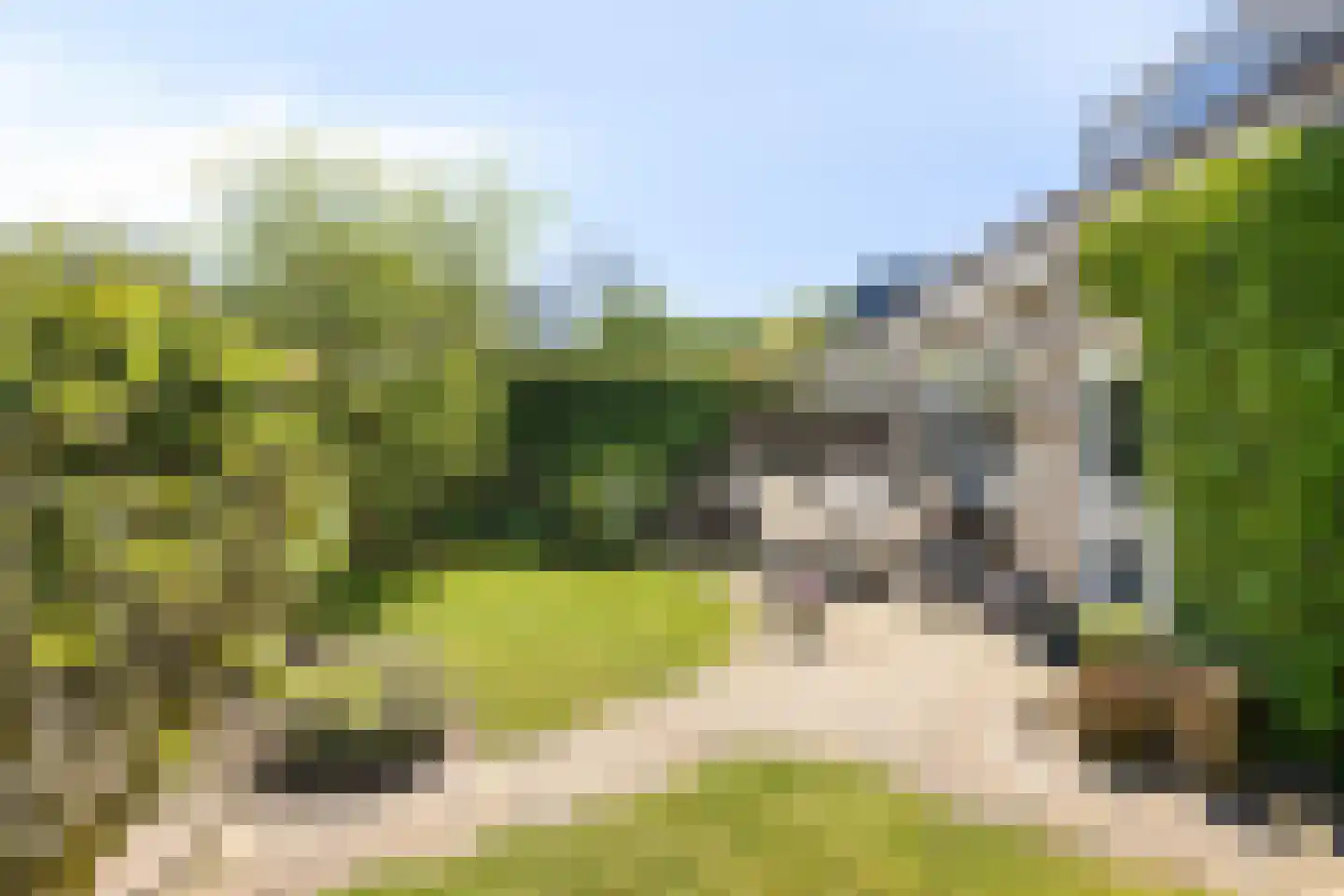 Berkenlaan 2 Oisterwijk thumbnail 39