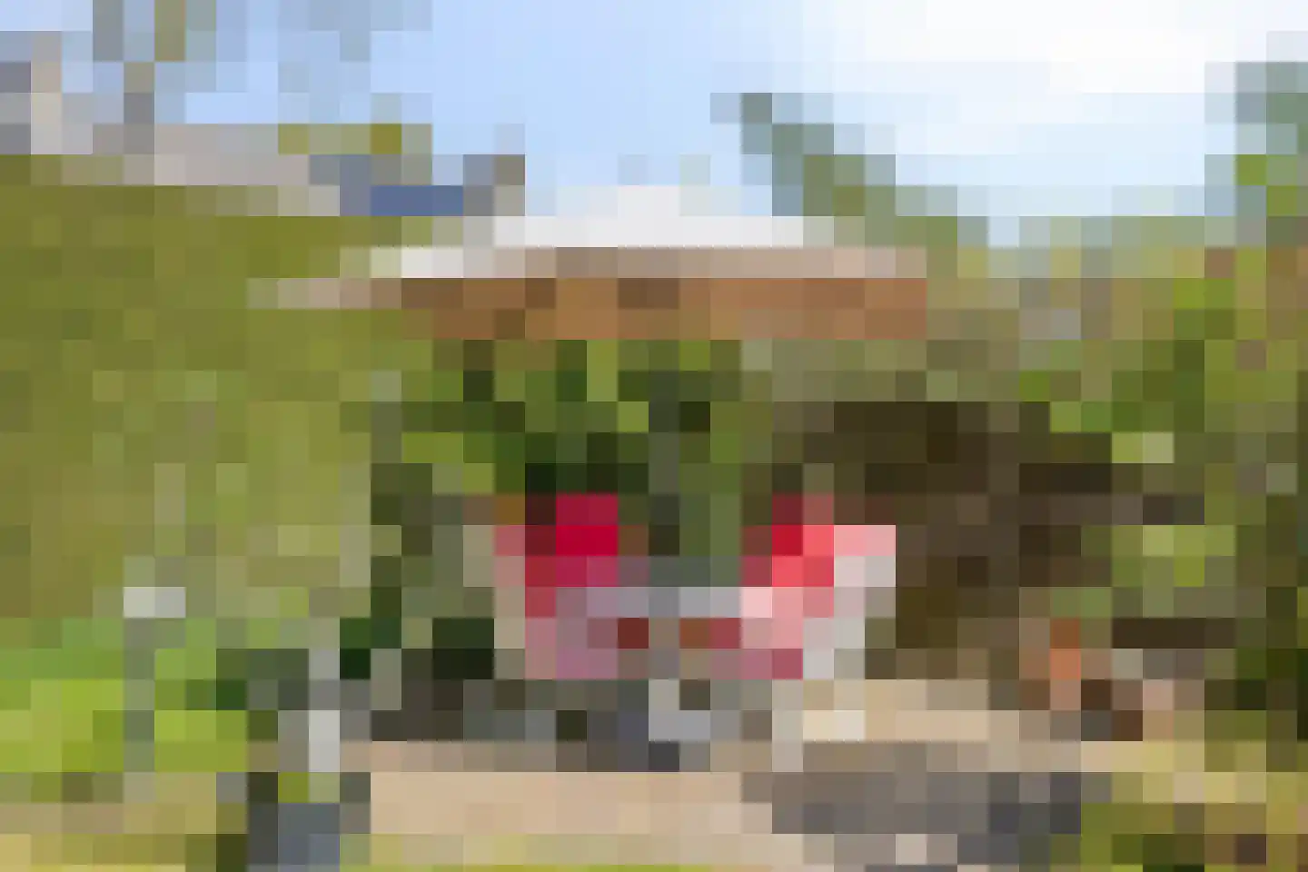 Berkenlaan 2 Oisterwijk thumbnail 40