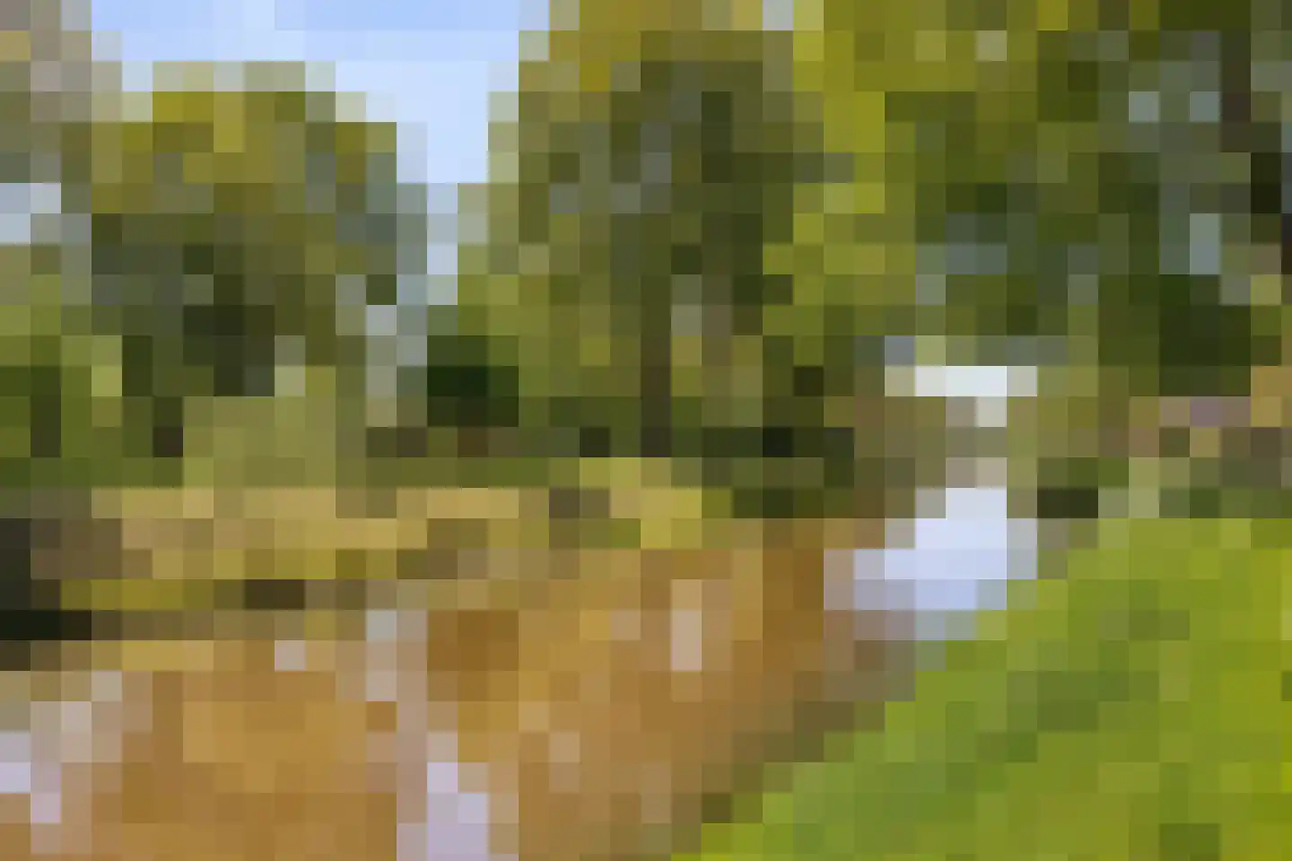 Berkenlaan 2 Oisterwijk thumbnail 44